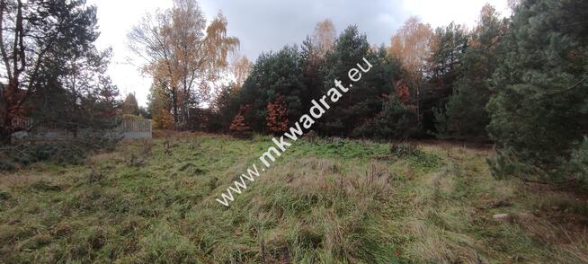 Ładna okolica MeDiA MPZP Okazja! super cena!