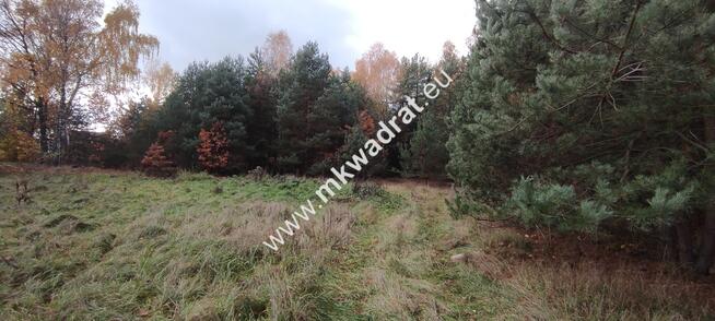 Ładna okolica MeDiA MPZP Okazja! super cena!