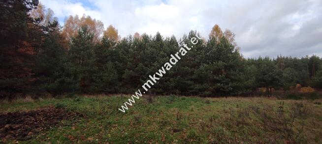 Ładna okolica MeDiA MPZP Okazja! super cena!