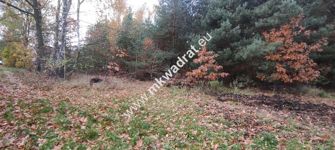 Ładna okolica MeDiA MPZP Okazja! super cena!