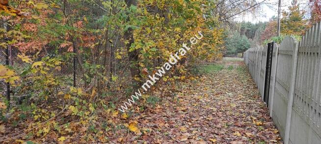 Ładna okolica MeDiA MPZP Okazja! super cena!