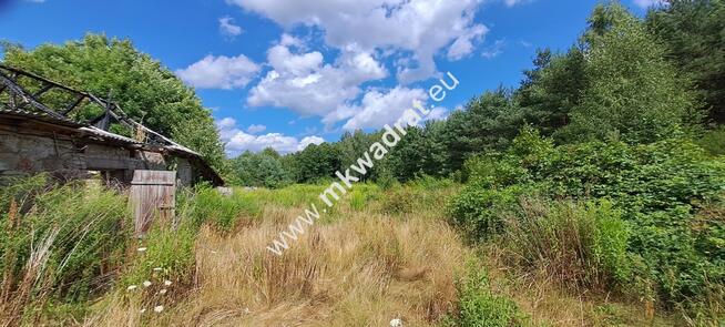 Siedlisko + WARUNKI ZABUDOWY - 9400m2 lOkazja!