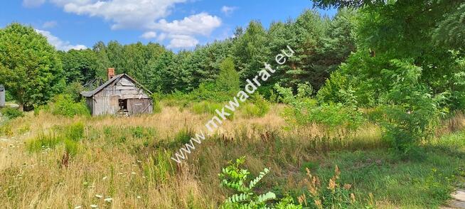 Siedlisko + WARUNKI ZABUDOWY - 9400m2 lOkazja!