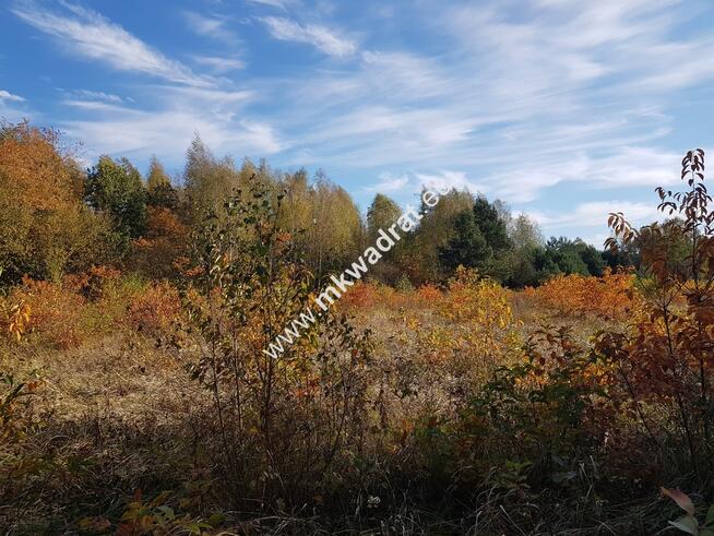 Urocza działka w otulinie lasu z MPZP zab. jednoro