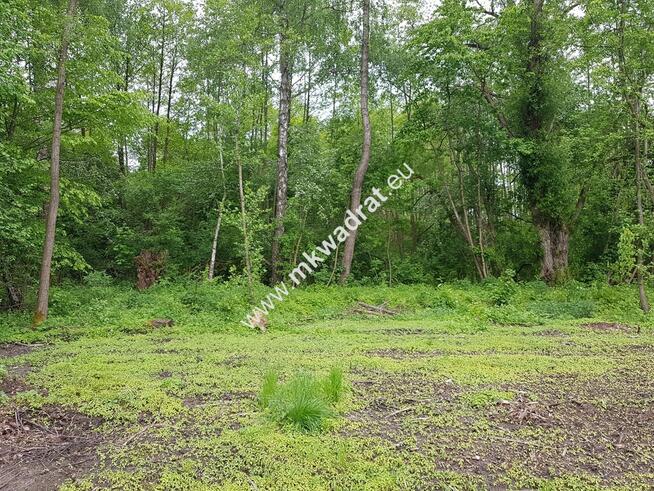 DZIAŁKA ZADRZEWIONA O REGULARNYM KSZTAŁCIE