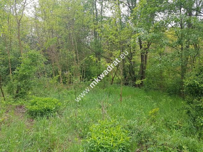 Okazja - niska cena !!!