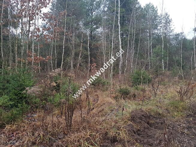 Okazja - niska cena !!!