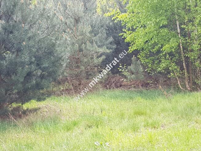 Okazja - niska cena !!!