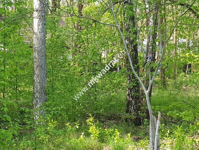 Działka BUDOWLANA - Z PLANEM ZAGOSPODAROWANIA MN