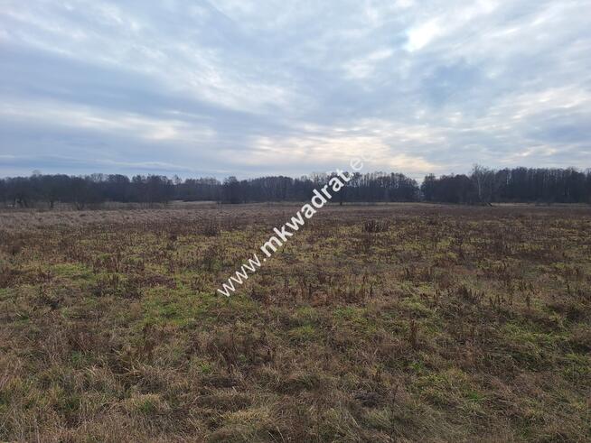 Super działka pod jednorodzinny lub bliźniak MeDIA