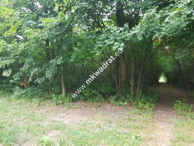 działka siedliskowa przy ulicy gminnej