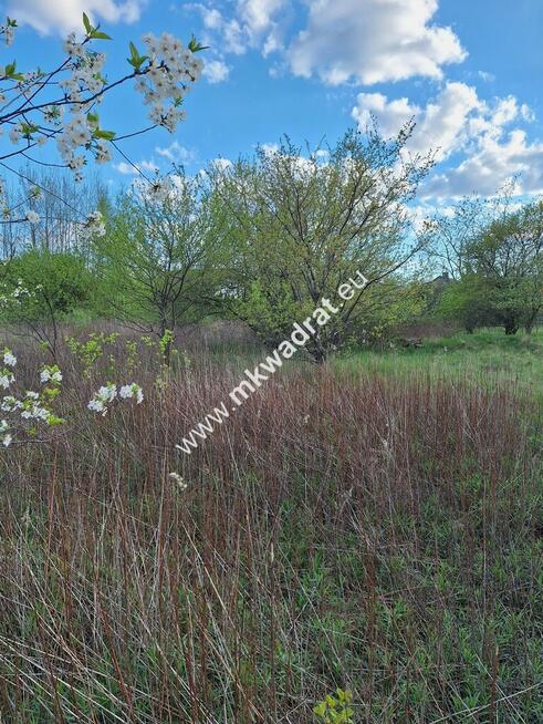 Działka w dobrej lokalizacji