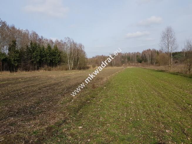 Borszyce gm.Kowiesy działka 7 283 m