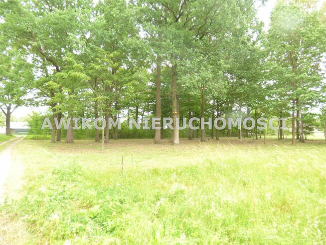 Działka budowlana Rusiec gm. Nadarzyn