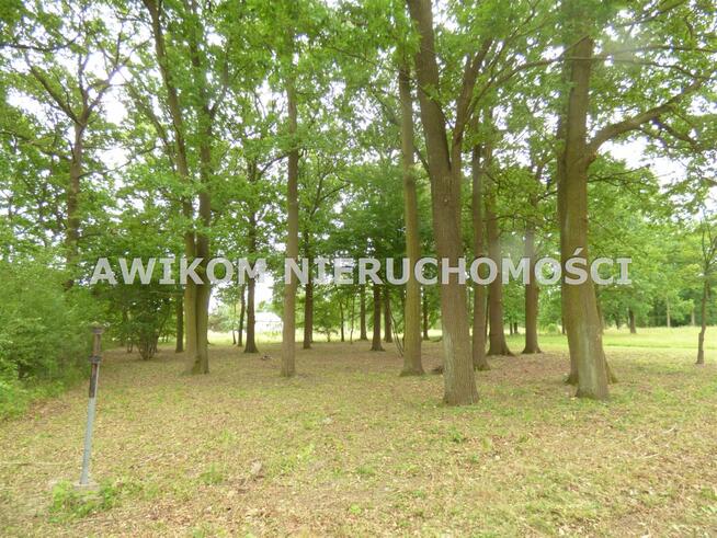 Działka budowlana Rusiec gm. Nadarzyn