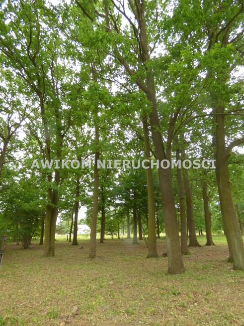 Działka budowlana Rusiec gm. Nadarzyn