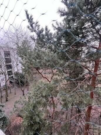 3-pokojowe mieszkanie na Śródmieściu