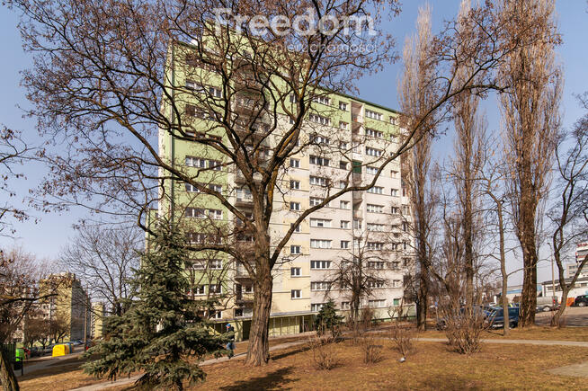 Na sprzedaż słoneczne 3 pokojowe mieszkanie.