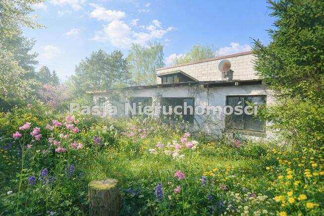 Dom Płock Imielnica