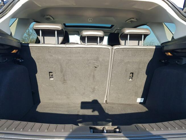 Ford Focus 1,6 Turbo Benzyna ST-Line Xenon LEDy Navi Zarejestrowany Gwarancja