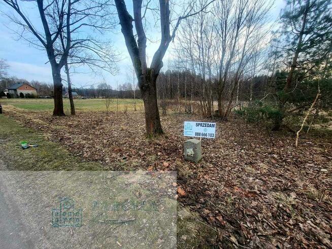 Na sprzedaż dwie sąsiadujące działki – Trzepnica