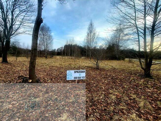 Na sprzedaż dwie sąsiadujące działki – Trzepnica