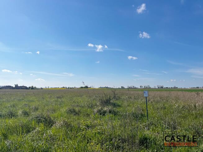 Działka budowlana Kopanina gm. Kaźmierz, Kamienna