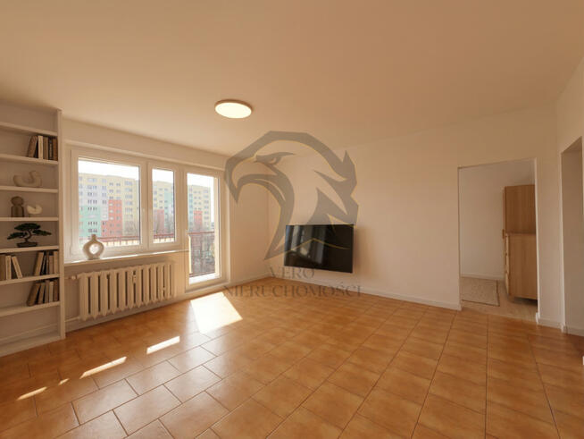 Retkińska przygoda Bolka i Lolka