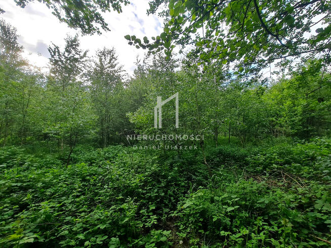 Działka rolna Opacionka gm. Brzostek