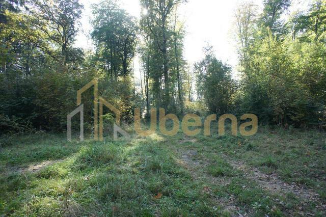 Działki nad jeziorem Dobra Nowogardzka