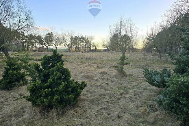 Mrowino, działka na inwestycję mieszkania i usługi