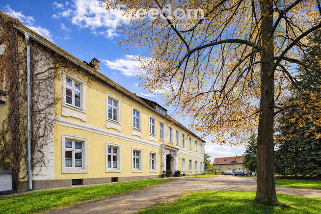 Pałac 750 m² z 11-hektarowym parkiem i stawem