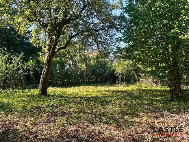 Dom Nowy Tomyśl, 3 Stycznia