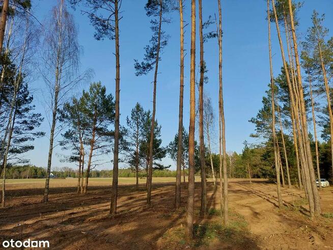 Rogóźno 1261m2 piękna działka blisko rzeki i lasu