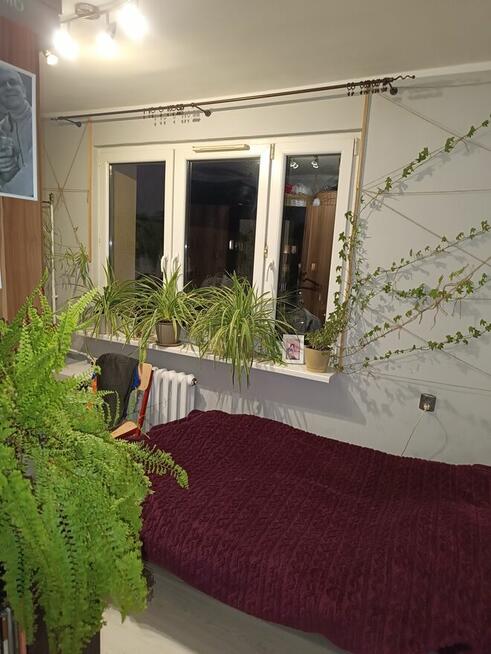 Sprzedam mieszkanie Toruń Bydgoskie Przedmieście 4 pokoje