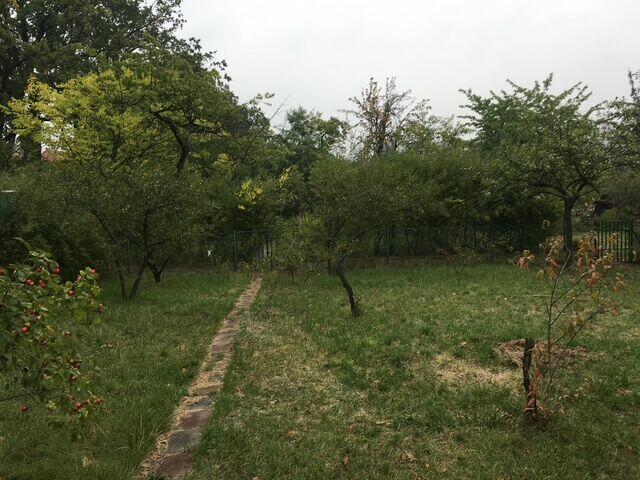 Działka ,ogródek działkowy.ROD Pilczyce ul.Hutnicza.Wrocław