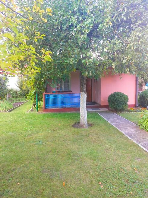 Działka ROD na Rządzu