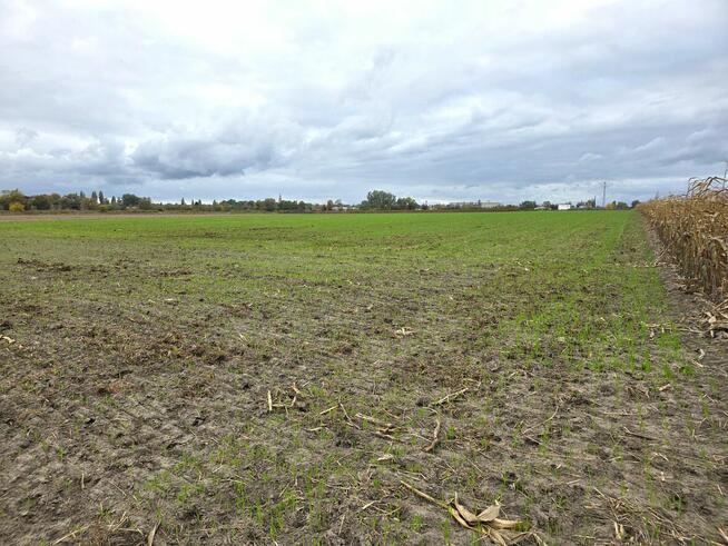 Działka przemysłowo - usługowa