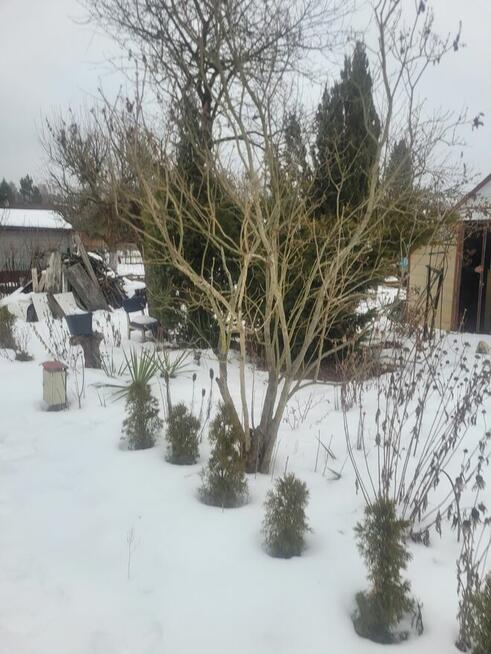 Nieruchomość - Ostrowiec Świętokrzyski