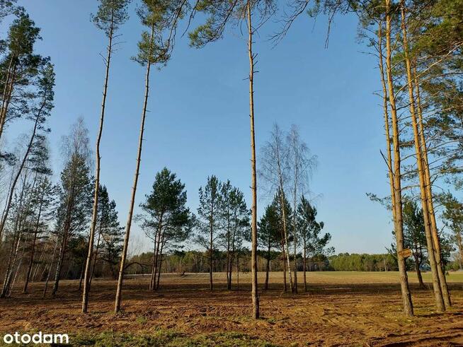 Rogóźno 1261m2 piękna działka blisko rzeki i lasu