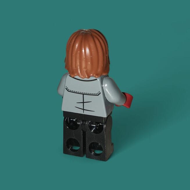 Lego Jurassic World Rainn JW077