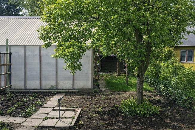 Działka rekreacyjna ROD przy ul.Bogusławskiego w Białymstoku