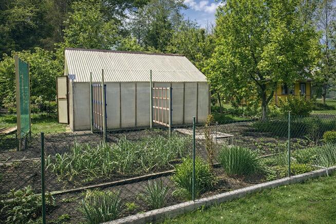 Działka rekreacyjna ROD przy ul.Bogusławskiego w Białymstoku