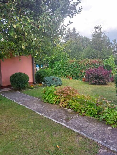 Działka ROD na Rządzu