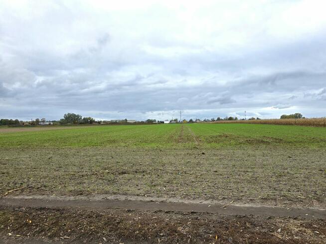 Działka przemysłowo - usługowa