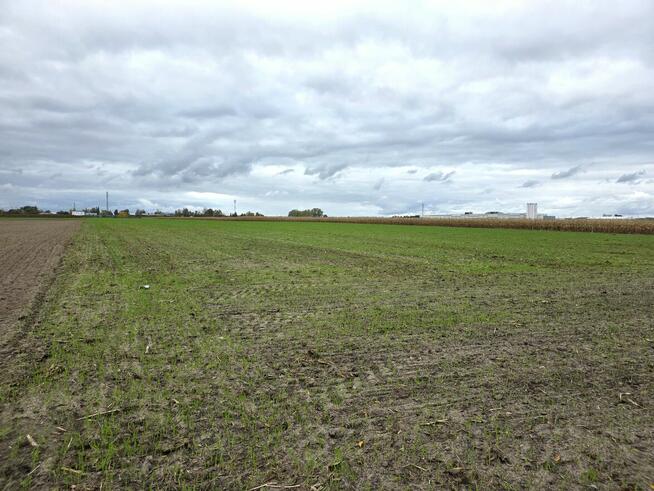 Działka przemysłowo - usługowa