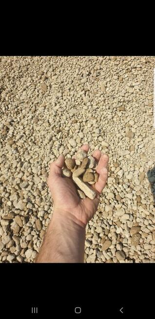 Ziemia czarna, brunatna, piach, kamień