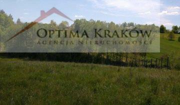 Działka rolno-budowlana Dąbie gm. Raciechowice