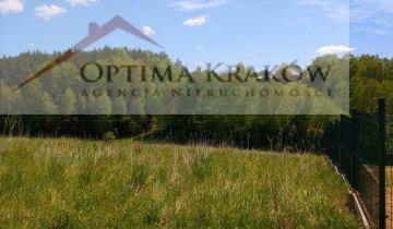 Działka rolno-budowlana Dąbie gm. Raciechowice