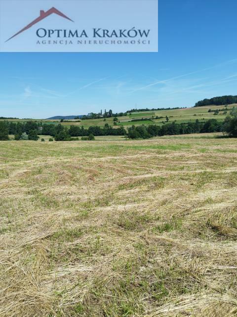 Działka rolna Kobielnik gm. Wiśniowa